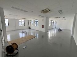 Loyang Industrial Estate (D17), Warehouse #600983841
